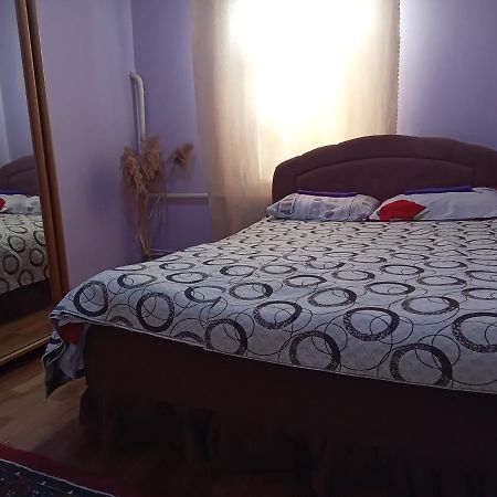 Garden Hotel And Hostelビシュケク エクステリア 写真